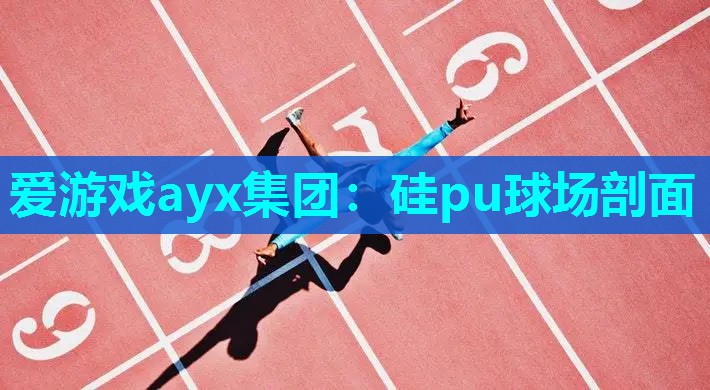 爱游戏ayx集团：硅pu球场剖面