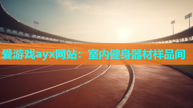 爱游戏ayx网站：室内健身器材样品间