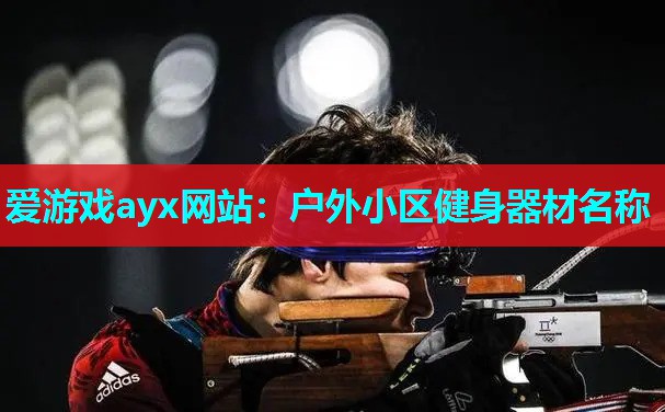 爱游戏ayx网站：户外小区健身器材名称