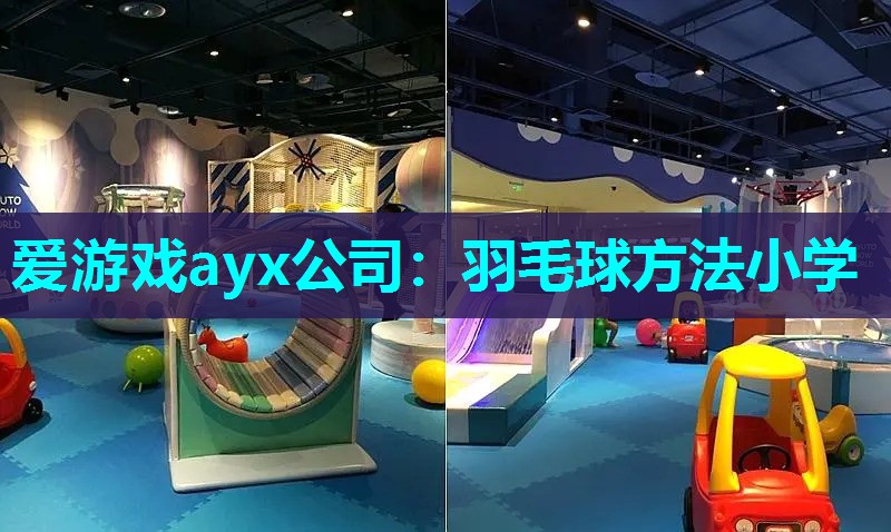 爱游戏ayx公司：羽毛球方法小学