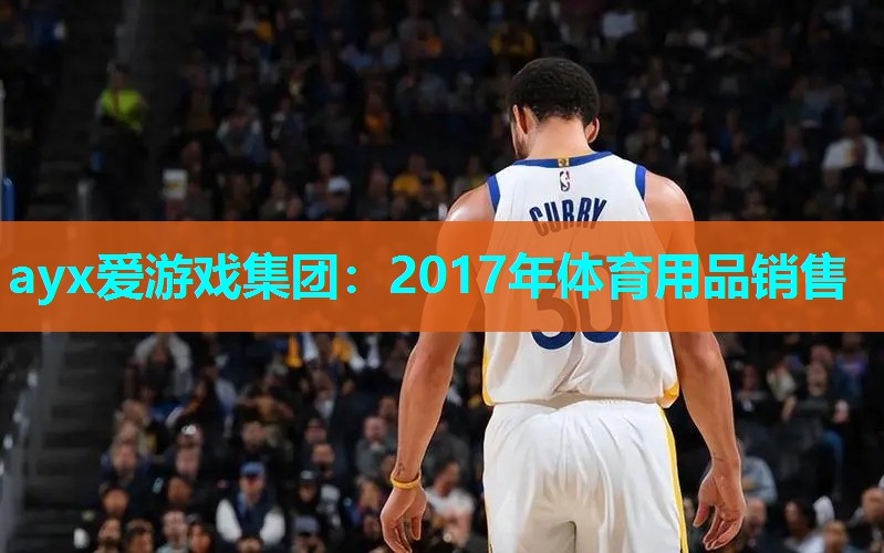 ayx爱游戏集团：2017年体育用品销售