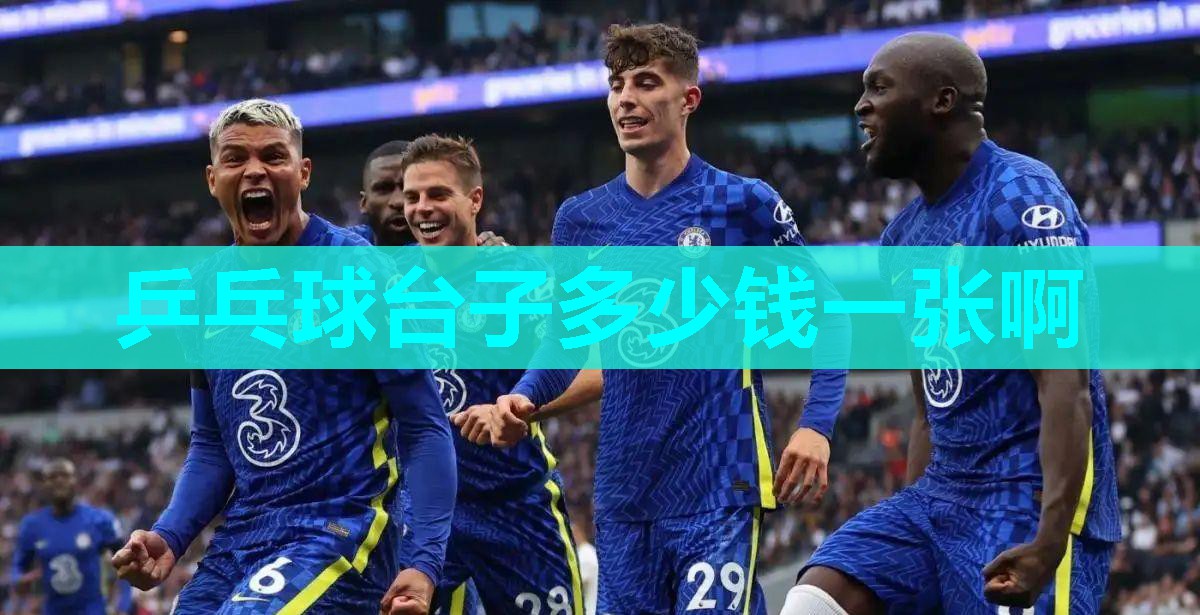 乒乓球台子多少钱一张啊