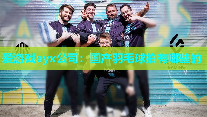 爱游戏ayx公司：国产羽毛球拍有哪些的