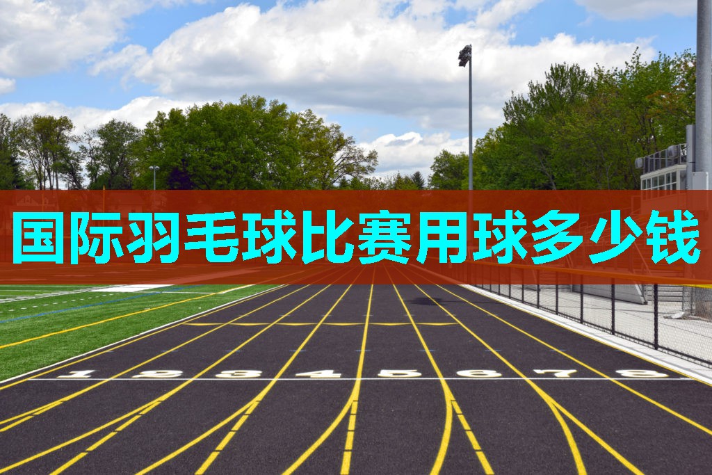 国际羽毛球比赛用球多少钱