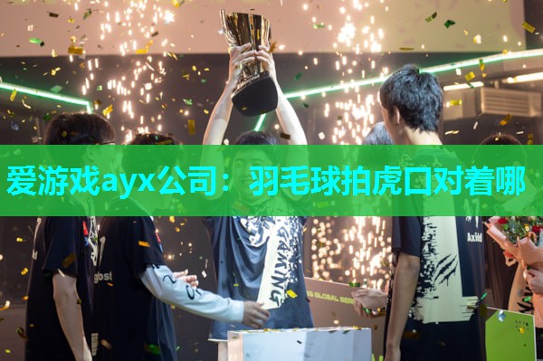 爱游戏ayx公司：羽毛球拍虎口对着哪