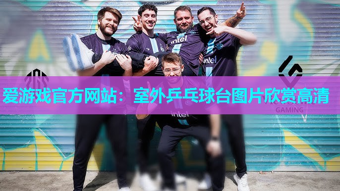 爱游戏官方网站：室外乒乓球台图片欣赏高清