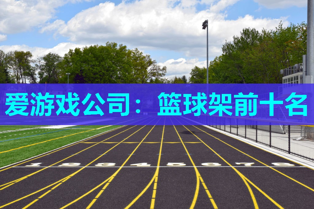 爱游戏公司：篮球架前十名