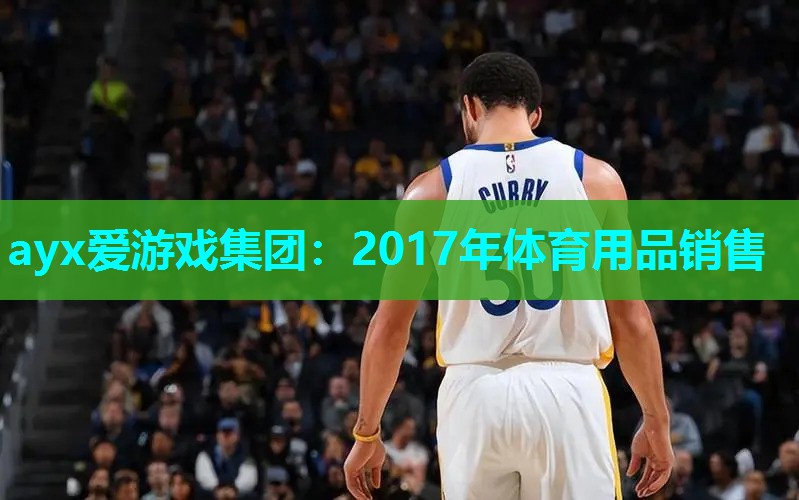 2017年体育用品销售