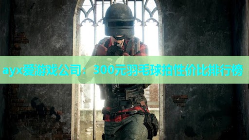 300元羽毛球拍性价比排行榜