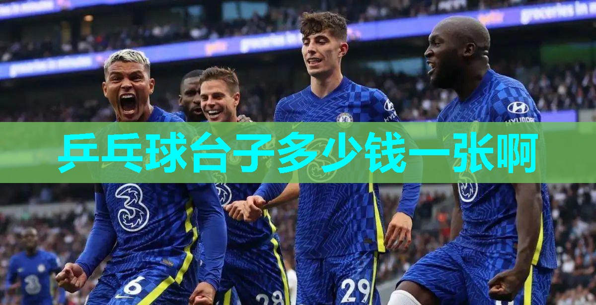 乒乓球台子多少钱一张啊