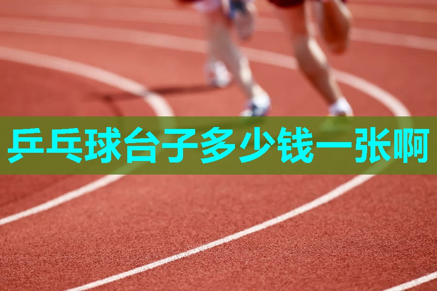 乒乓球台子多少钱一张啊