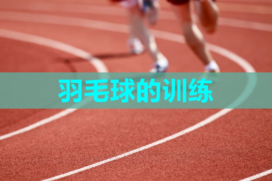 羽毛球的训练